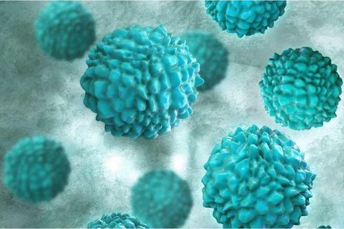 Hàng chục sinh viên ở Trung Quốc nghi nhiễm nonovirus