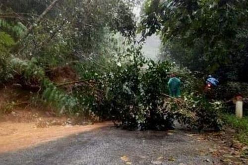 Kon Tum: Mưa lũ khiến 2 người tử vong