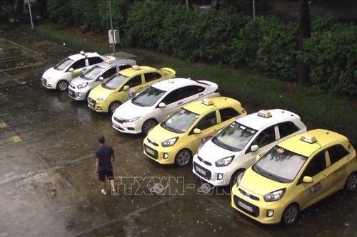 Làm rõ sai phạm của nhóm tài xế taxi 'dù' tranh khách trước cổng bệnh viện