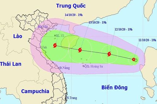 Khẩn cấp ứng phó với áp thấp nhiệt đới và mưa lớn