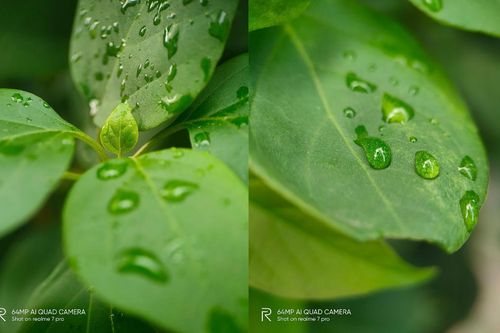 Sống ảo 'siêu chất' khi biết tận dụng tối ưu camera Realme 7 Pro với 7 tips sau đây