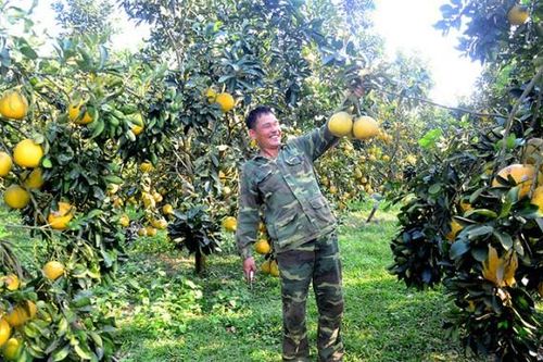 Tuyên Quang làm OCOP: Chất lượng là tiêu chí hàng đầu