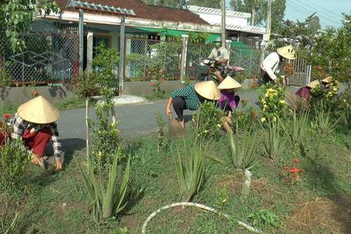'Khoác áo hoa' cho đường nông thôn mới