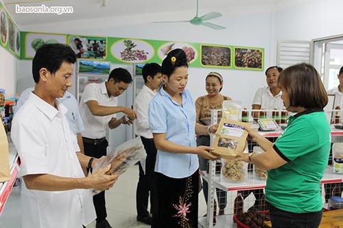 OCOP - thúc đẩy sản xuất nông nghiệp sạch