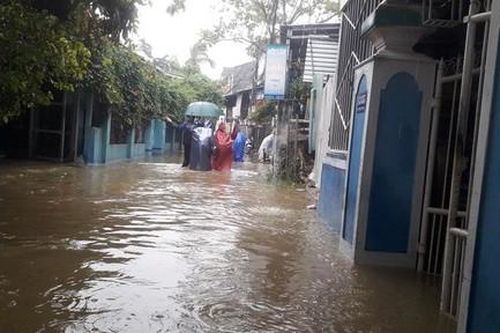 Thừa Thiên-Huế: Dùng ca nô đưa nhiều sản phụ vượt lũ đi sinh