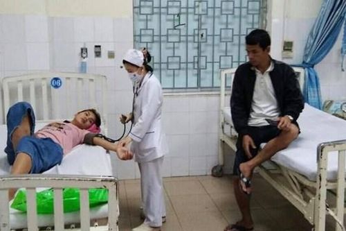 Quảng Ngãi: Ăn nấm rừng 8 người bị ngộ độc