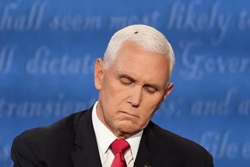 Phó TT Mỹ Mike Pence nói về 'vị khách không mời' xuất hiện trong cuộc tranh luận