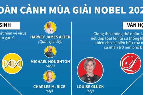 Theo dõi toàn cảnh mùa giải Nobel năm 2020