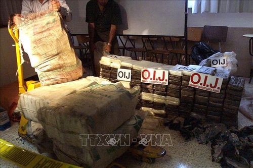 Thu giữ gần 3 tấn cocaine giấu trong một container chứa chuối