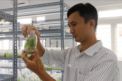 Thúc đẩy phát triển nông nghiệp theo hướng công nghiệp hóa