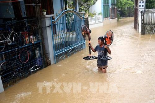 Điện lực Quảng Ngãi gấp rút xử lý sự cố, sớm cấp điện sau mưa bão
