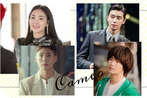 4 màn cameo ấn tượng nhất trên màn ảnh Hàn 2020: Kim Soo Hyun hóa chàng ngốc, Park Bo Gum và Park Seo Joon thay phiên nhau đáp lễ