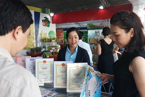 Hình thành mạng lưới thương mại bền vững