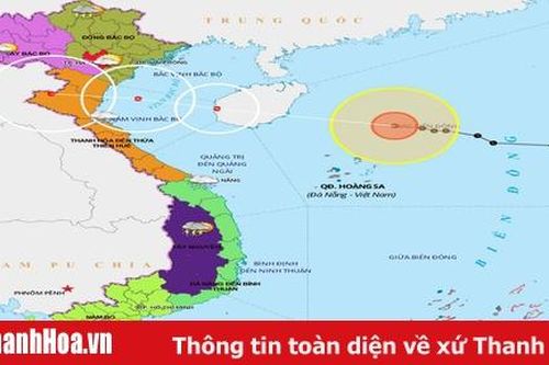 Tin bão khẩn cấp (Cơn bão số 7)