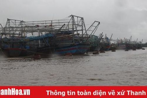 100% tàu, thuyền của Thanh Hóa khai thác trên biển đã và đang vào nơi tránh trú bão