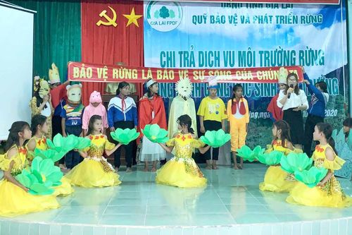 Gia Lai: Nâng cao ý thức bảo vệ rừng trong học sinh