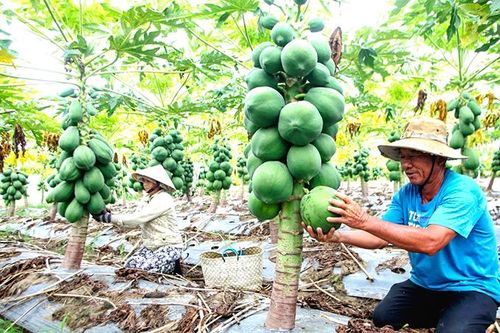 Nỗ lực giảm nghèo bền vững