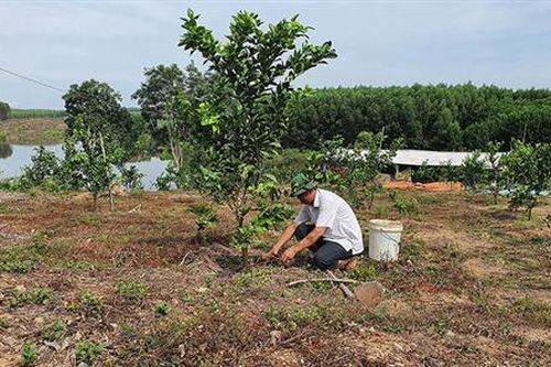Lập nghiệp trên đất khó
