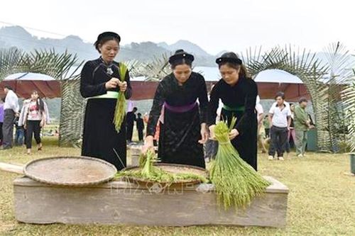 Người Tày với phong tục mừng cơm mới