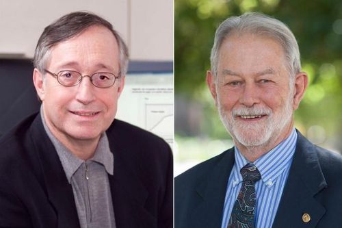 Thuyết đấu giá vừa đoạt giải Nobel Kinh tế mang lại lợi ích gì?