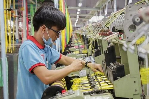 Vừa mới lên sàn, hãng bao bì Thuận Đức đã bị phạt