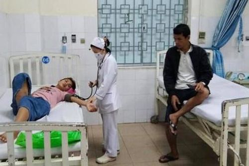 8 người ở Quảng Ngãi ngộ độc vì ăn nấm rừng