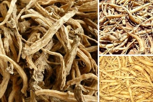Dược thiện hỗ trợ điều trị suy tim mạn tính