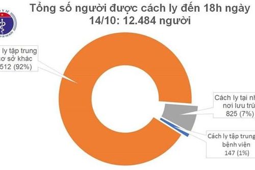 9 chuyên gia Ấn Độ nhập cảnh mắc Covid-19 sau lần đầu âm tính