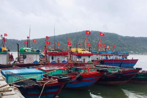 7 tỉnh cấm biển, lên kế hoạch di dời 150.000 người dân ứng phó với bão số 7