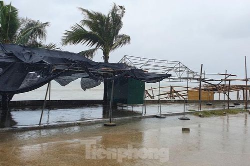 Thanh Hóa cấm biển, đóng cửa sân bay ứng phó với bão số 7
