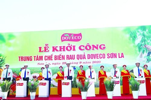 DOVECO - người đơm quả ngọt trên những 'vùng đất hứa'