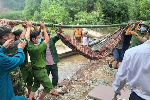 Đã cứu được 19 người từ Rào Trăng 4, đưa thi thể đầu tiên ra ngoài