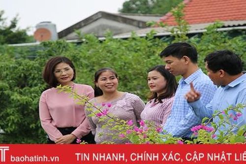 'Vườn rau an sinh' - sáng tạo trong phát triển BHXH tự nguyện ở Tượng Sơn