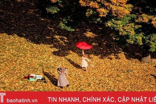 Cảnh sắc mùa thu trên toàn thế giới