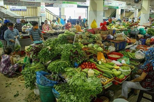 Rau xanh tại Đà Nẵng khan hiếm, tăng giá sau mưa lũ