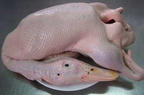 Mẹo hay giúp nhổ lông vịt và làm sạch vịt nhanh nhất