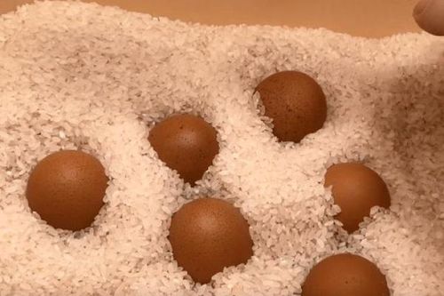 Con dâu nhét trứng vào thùng gạo, mẹ chồng khó hiểu, hỏi ra mới vỡ lẽ