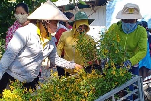Phụ nữ Đồng Tháp triển khai nhiều hoạt động bảo vệ môi trường