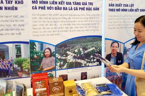 Mỗi xã một sản phẩm góp phần xây dựng nông thôn mới bền vững, tạo đà cho phụ nữ khởi nghiệp