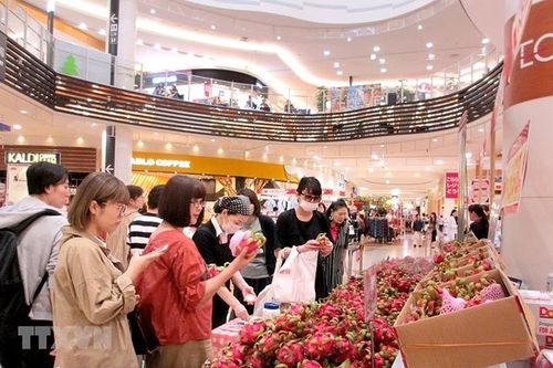 Đưa hàng Việt vào hệ thống phân phối nước ngoài: Nâng chất lượng, khơi thông tiềm năng