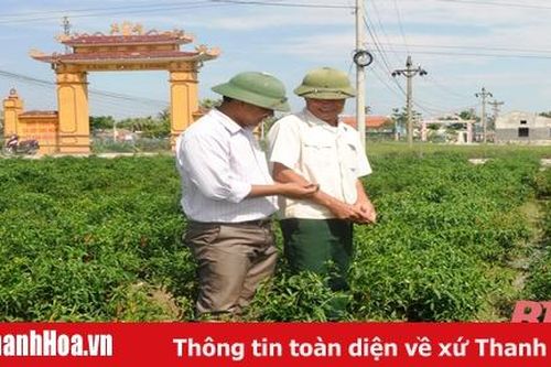 Thực hiện tốt các phong trào thi đua yêu nước trong các cấp hội nông dân