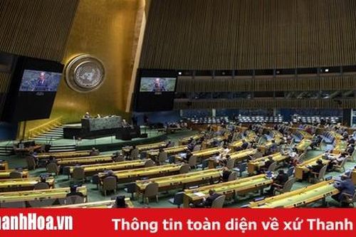 Hội đồng Nhân quyền LHQ bầu 15 thành viên mới nhiệm kỳ 2021-2023