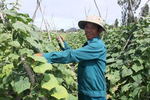 Hiệu quả nguồn vốn hỗ trợ nông dân