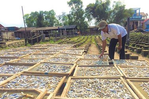 Giải pháp để phát triển công nghiệp chế biến nông - lâm - thủy sản bền vững