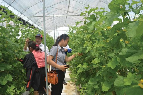 Nét mới trong công tác xây dựng Đảng