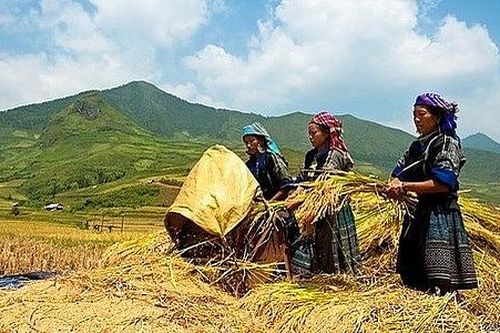 Lập Hội đồng thẩm định Chương trình MTQG phát triển KTXH miền núi