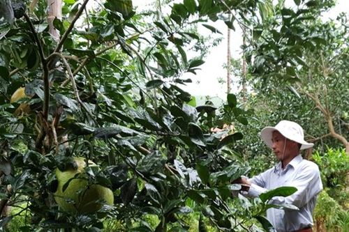 Phát triển dịch vụ viễn thông giúp người dân thoát nghèo