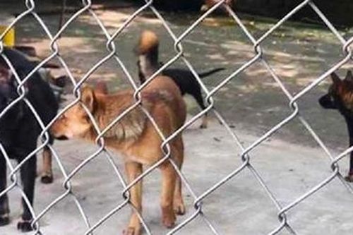 Truy bắt đối tượng dùng 'tuyệt chiêu' cuỗm hơn 700 triệu đồng tại TP.HCM