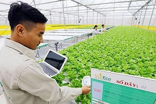 Gỡ nút thắt vốn, công nghệ trong liên kết 6 'nhà'