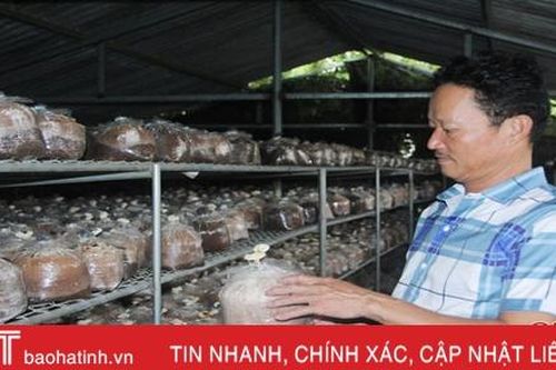 Người dân Hà Tĩnh sản xuất hơn 400 nghìn phôi nấm cho vụ mới